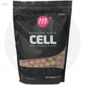 Mainline Baits Shelf Life Cell 20mm MAINLINE