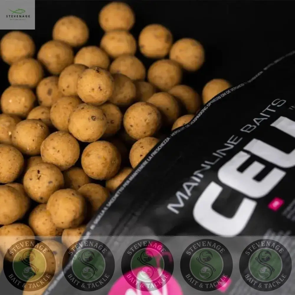 Mainline Cell Shelf Life Fishing Boilies 1KG MAINLINE