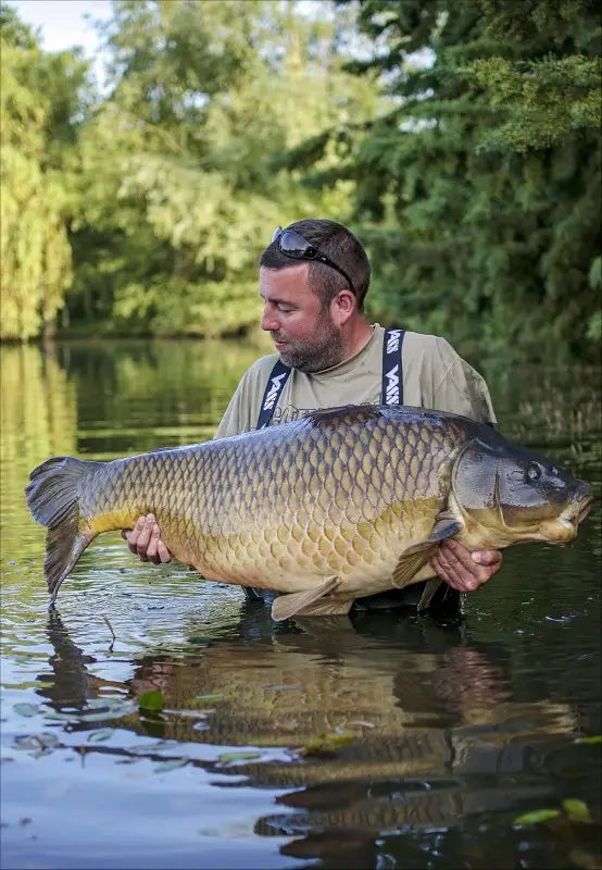 old oaks huge carp france