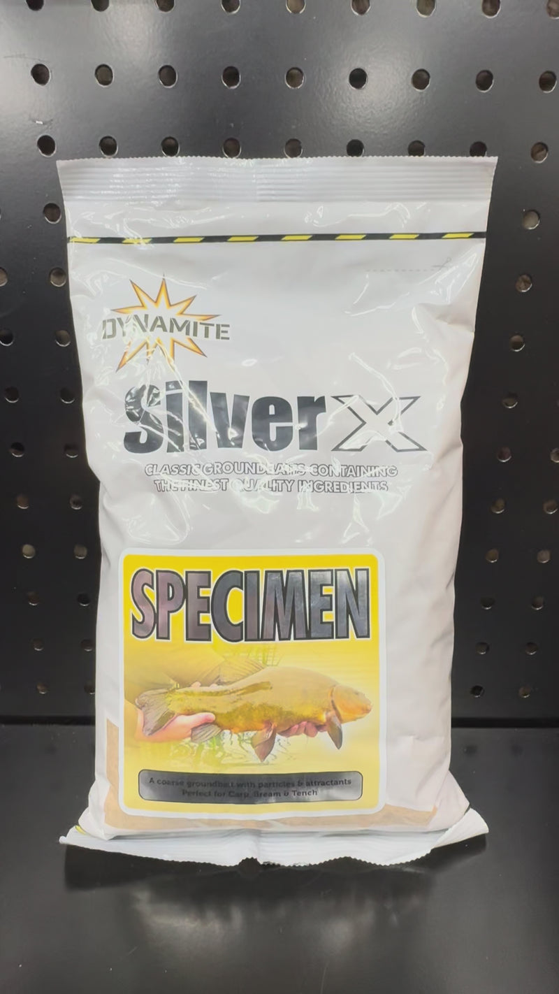 Load and play video in Gallery viewer, Dynamite Silver X Specimen
