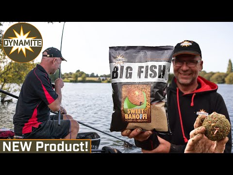 DYNAMITE BAITS-  BIG FISH SWEET BANOFFI METHOD MIX 1.8KG