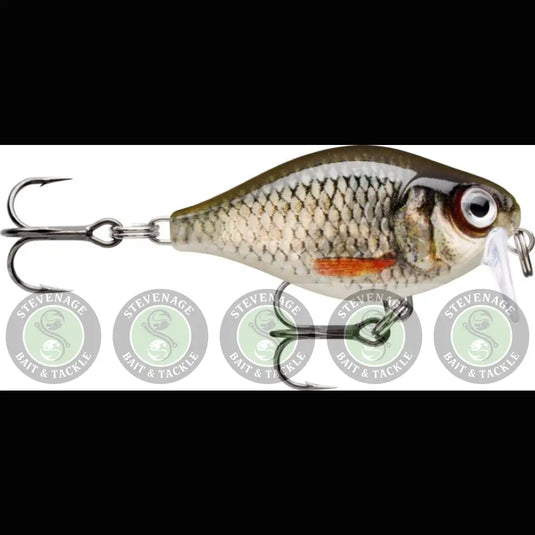 Rapala X-Light Crank Shallow Runner Fishing Lure - Finesse Crankbait Lure Colour 3.5cm LIVE ROACH RAPALA
