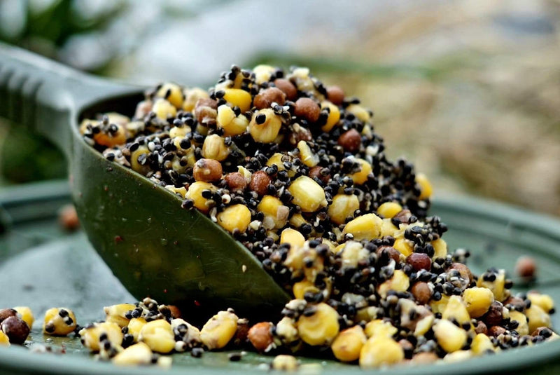 Load image into Gallery viewer, Hemp &amp; Maize &amp; Maples
