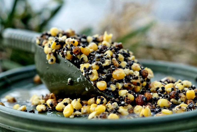 Load image into Gallery viewer, Hemp &amp; Maize &amp; Tigers (H.M.T)
