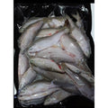 Roach 1lb bulk