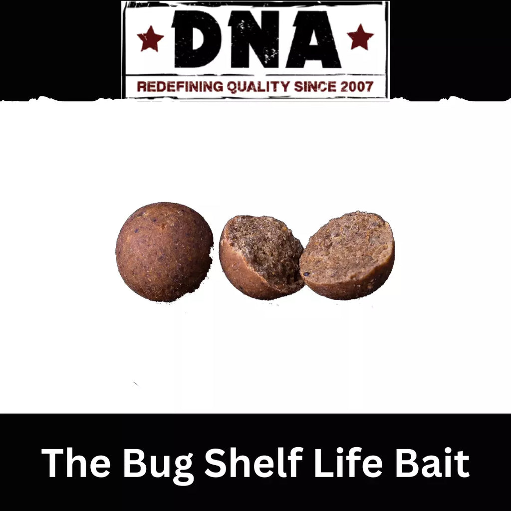 DNA BAITS - The Bug 1kg Shelf-life 15mm