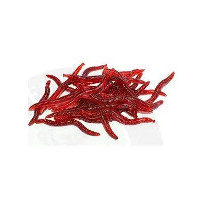 Stevenage Bait And Tackle Fake Worms - Stevenage Bait and Tackle