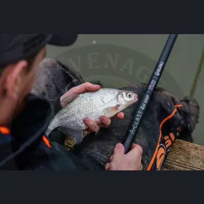 A silver-scaled fish held in hands demonstrating the simple whip setup of the tackle guru-a-class whip for effective fishing