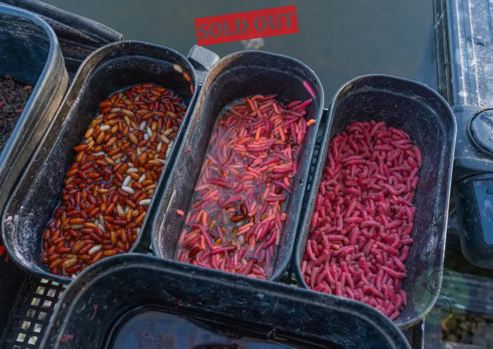 Tackle Guru - Bait Box 1.1 Pint Orange 030 End Tackle & Accessories