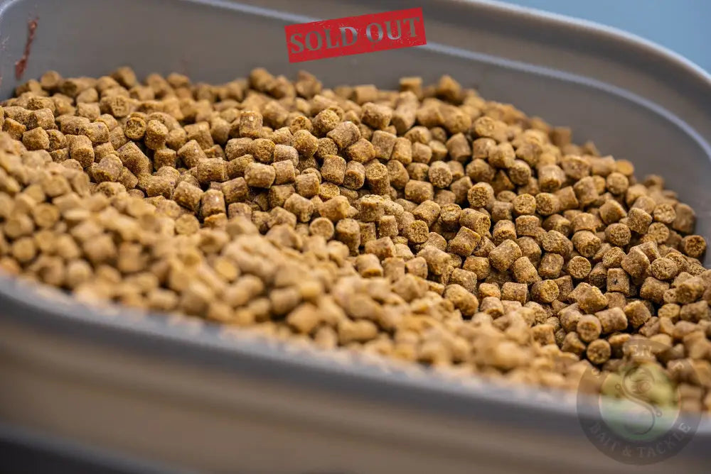 Tackle Guru - Conti Bait Box 2.2 Pint Grey