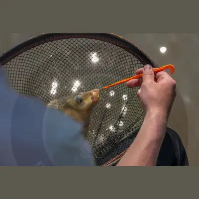 A bright orange guru loop tyer hook gently prods the open mouth of a golden-brown carp in a black mesh stevenage bait net