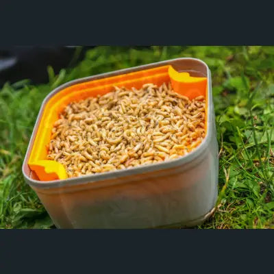 A gray and orange plastic container filled with pale segmented worms for guru maggot riddle stevenage bait tackle guru
