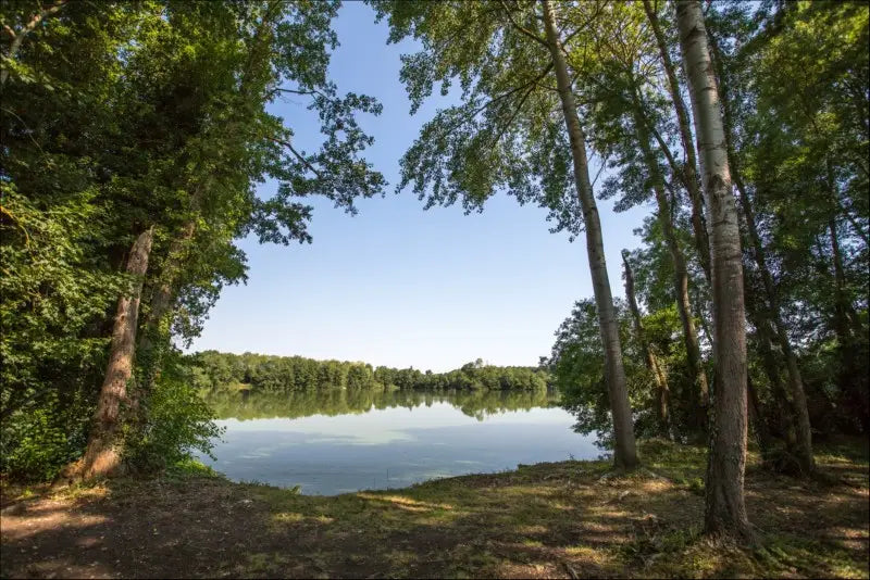 Vaumigny big carp lake France