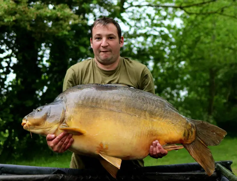 Huge 80lb Carp at Villefond